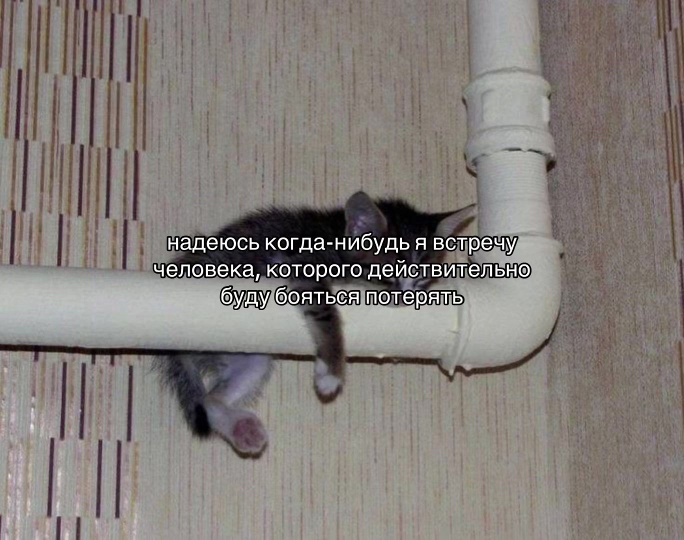 @𝒏𝒊𝒈𝒉𝒕𝒎𝒂𝒓𝒆