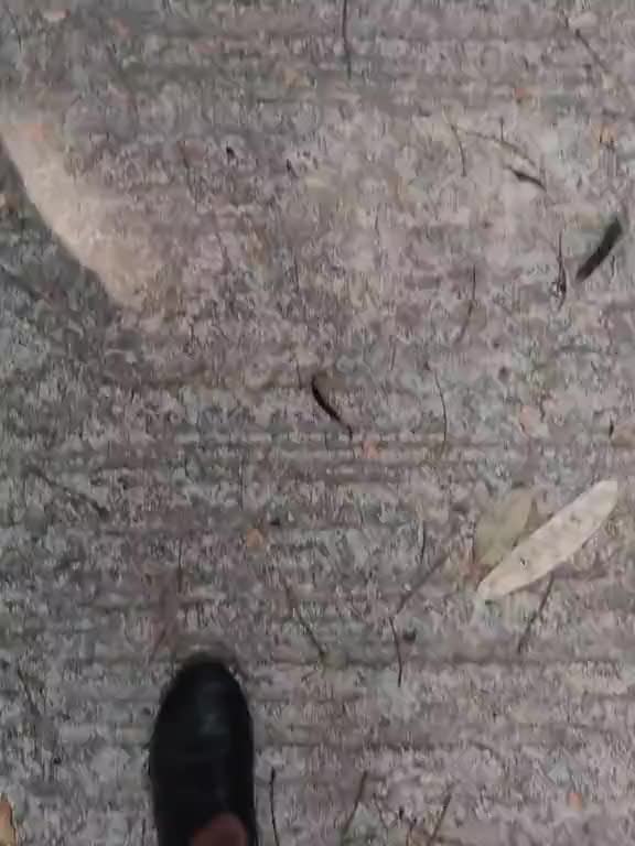 @đŧ_āĻāĻžāϤāĻŋāϰ_āĻĒāĻŋāĻā§āĻāĻŋ__āϰāĻžāύāĻž_ đ¤