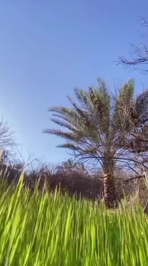 @مصطفى الجبوري