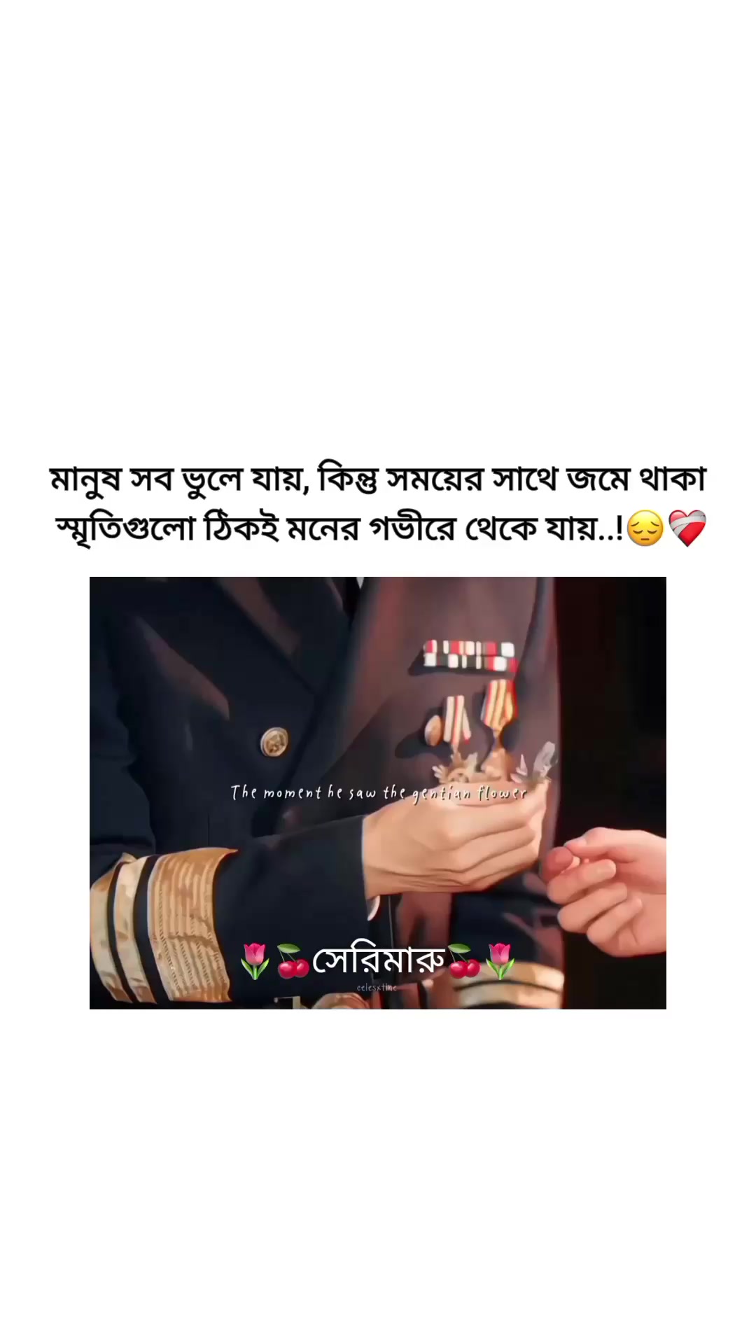 @🌷🍒সেরিমারু🍒🌷