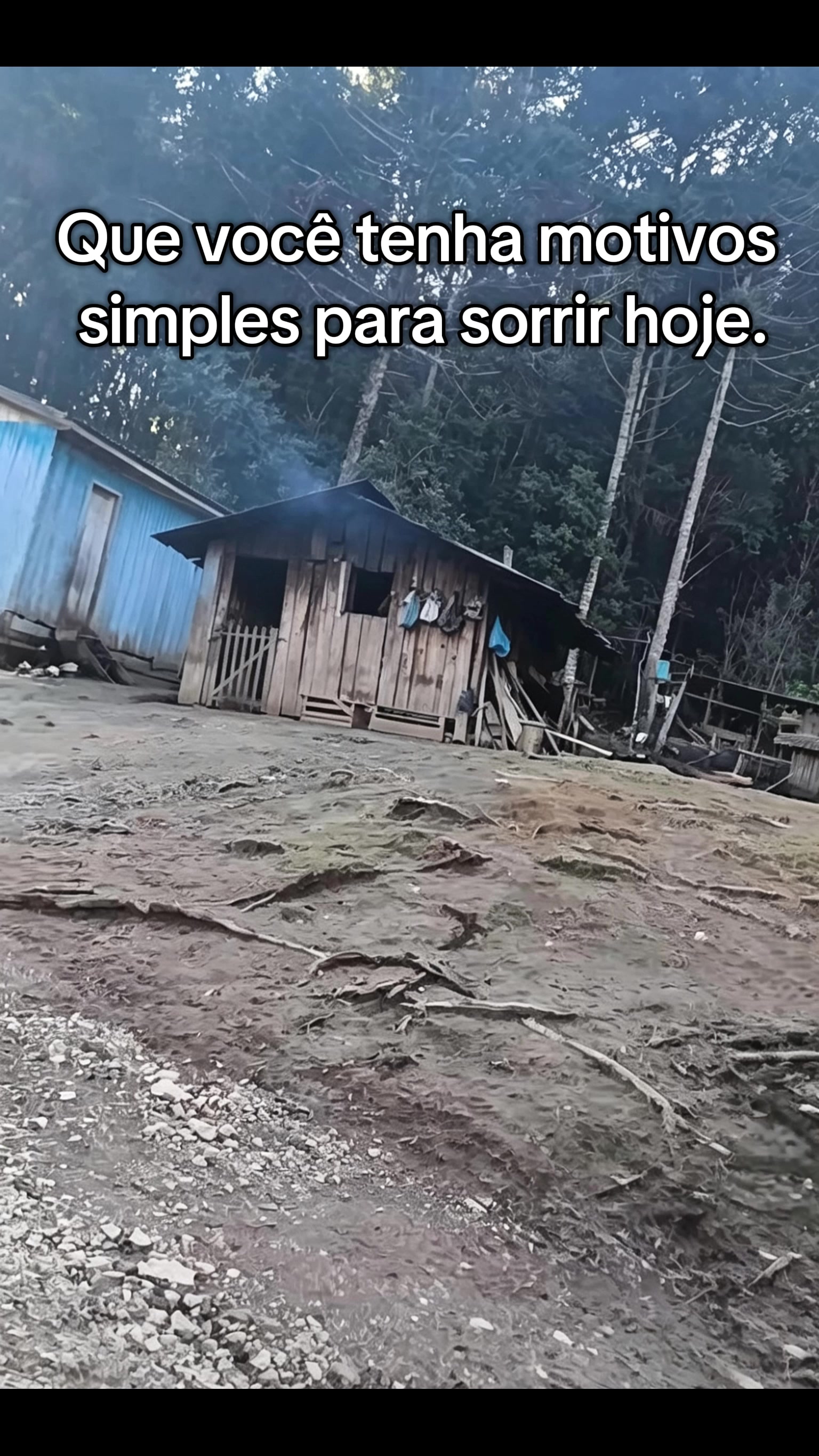 @Raiz da Roça Oficial