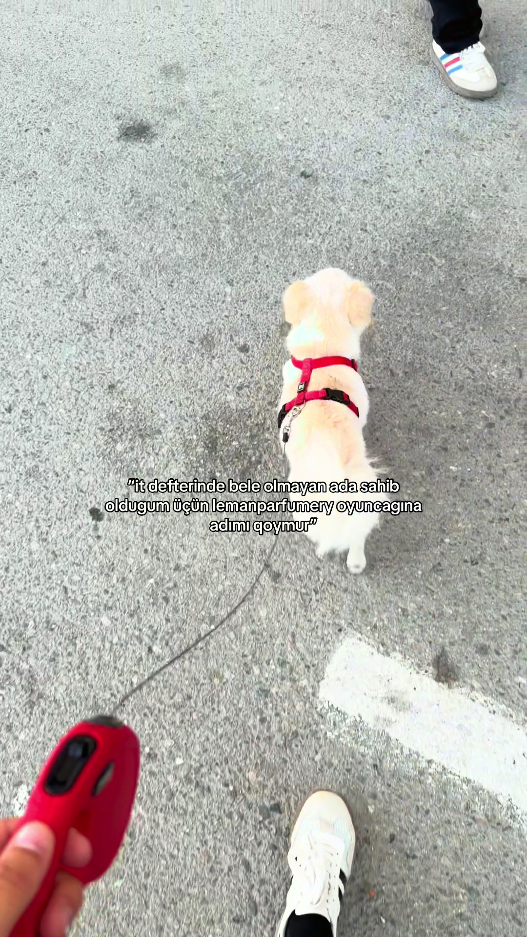 @𝐇.