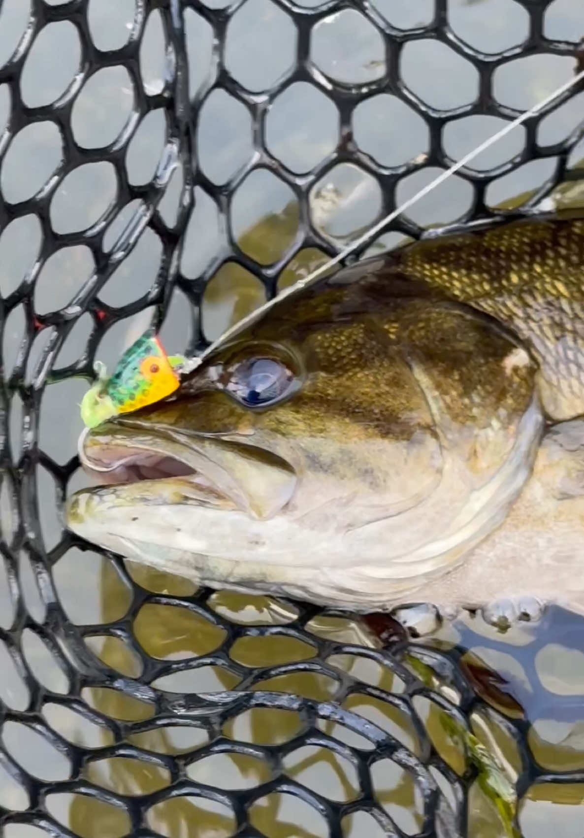 @FlyFishDelawhere