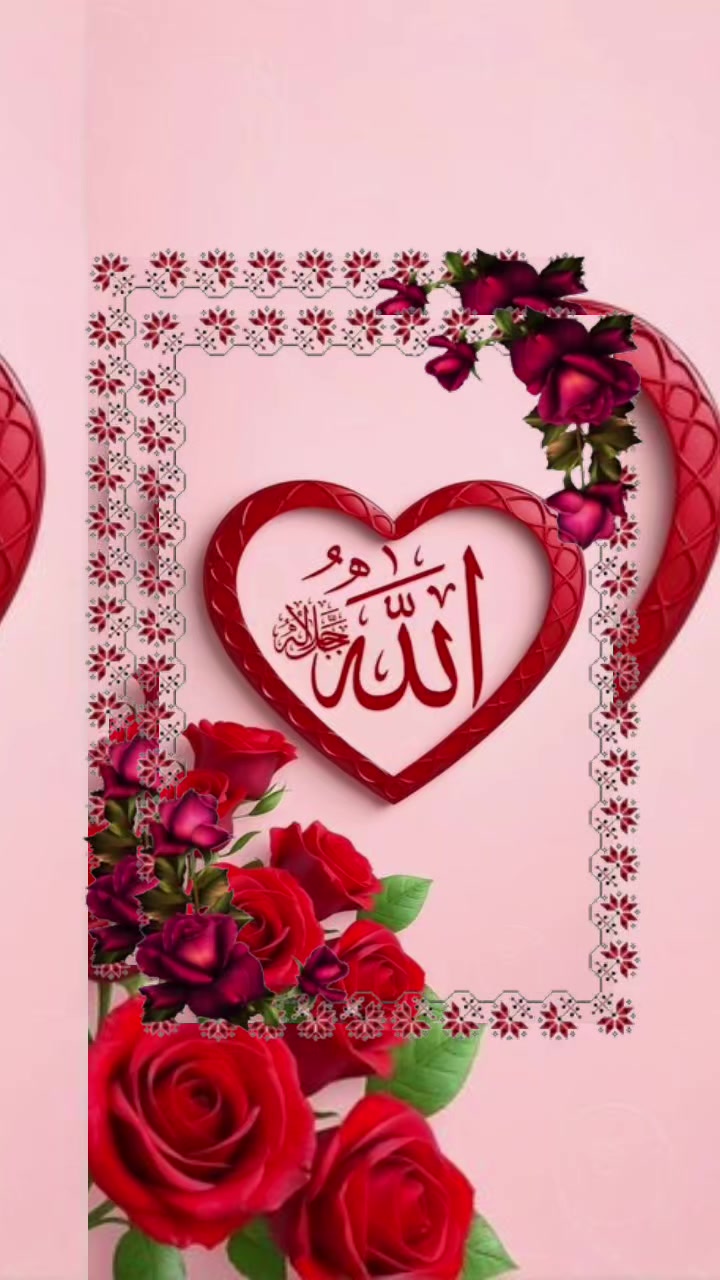 @Anshaa siraj