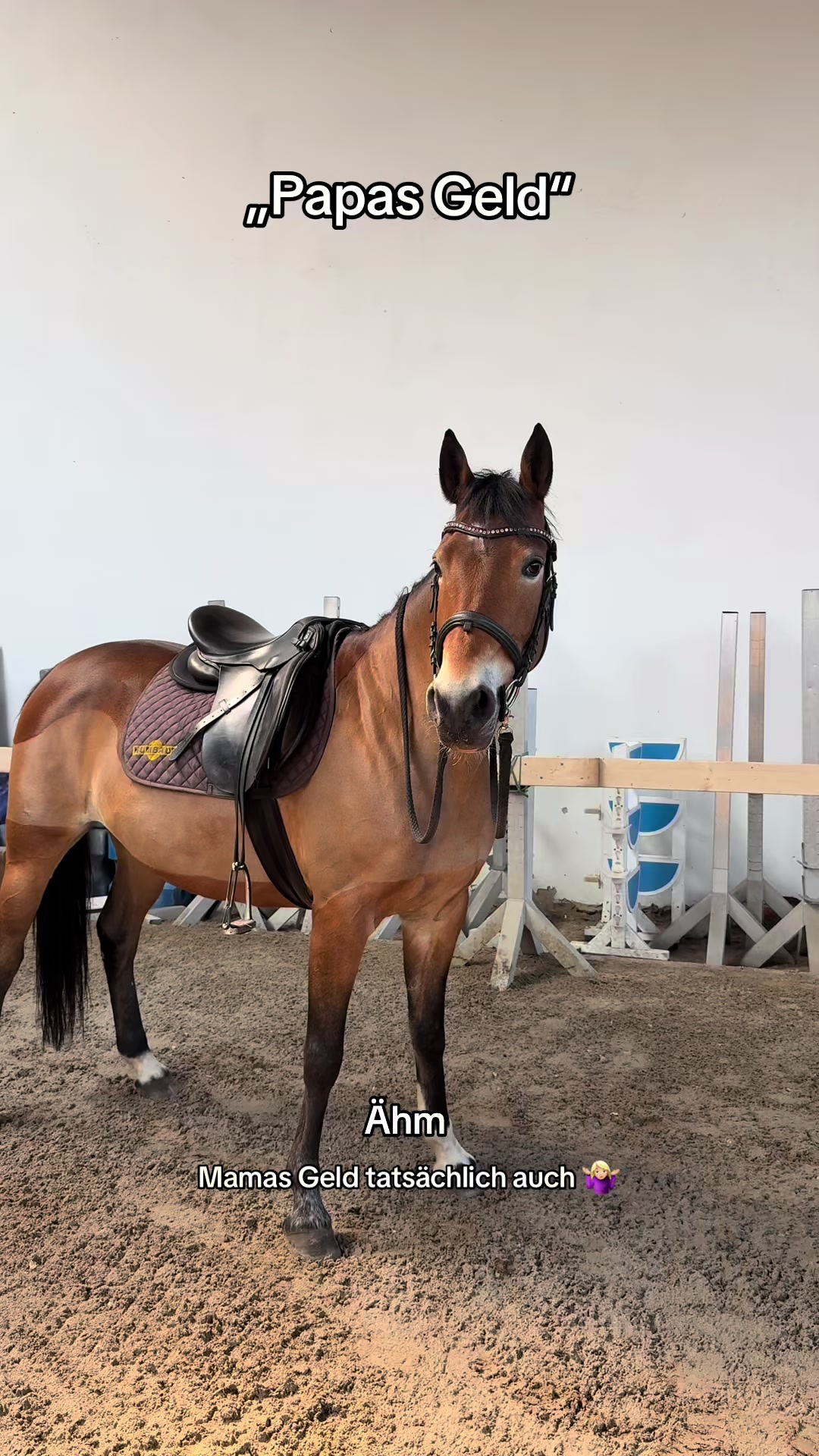 @Ponyhausen