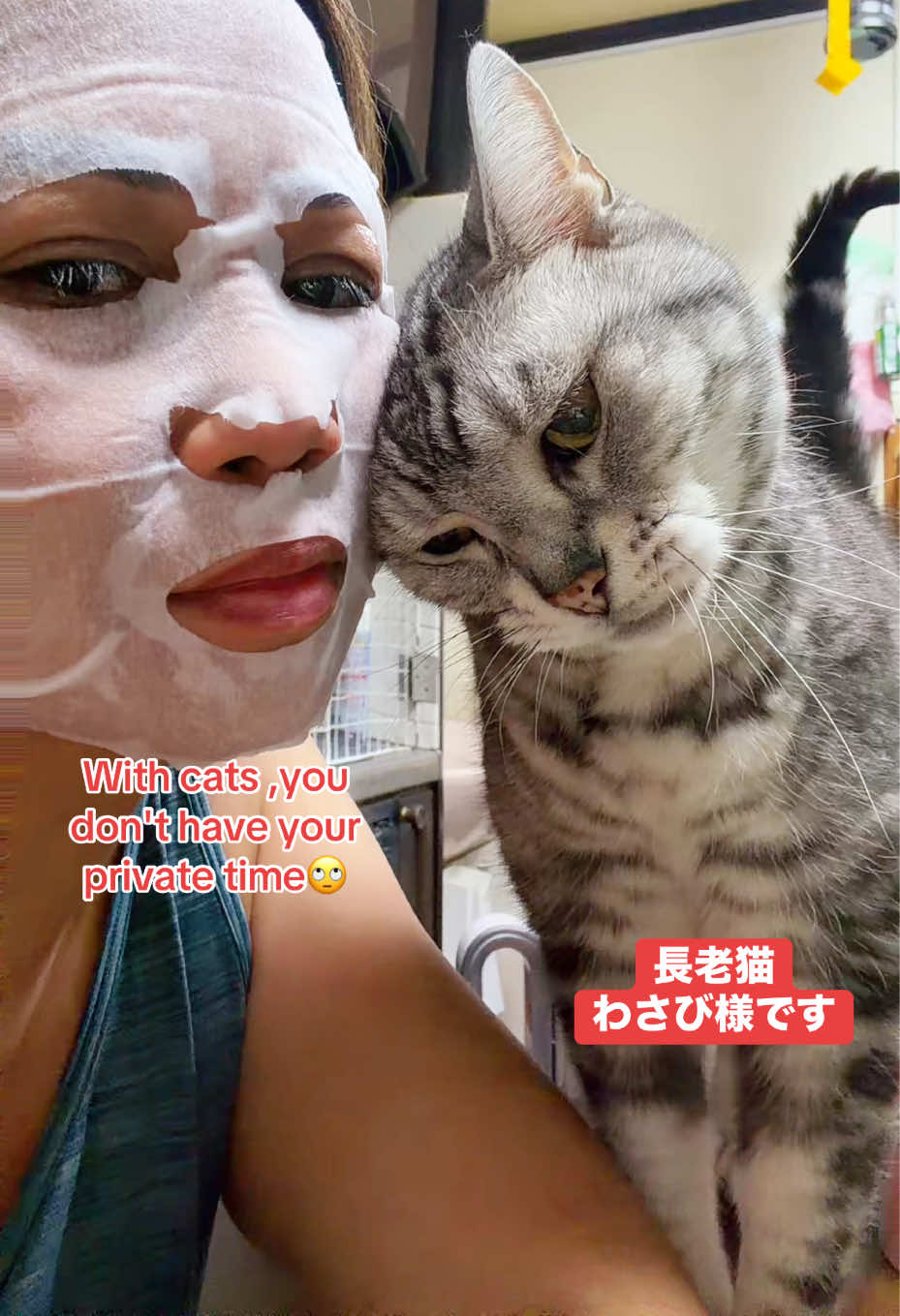 @🌺KEI🌺 RPH2️⃣0️⃣ 5spicejp