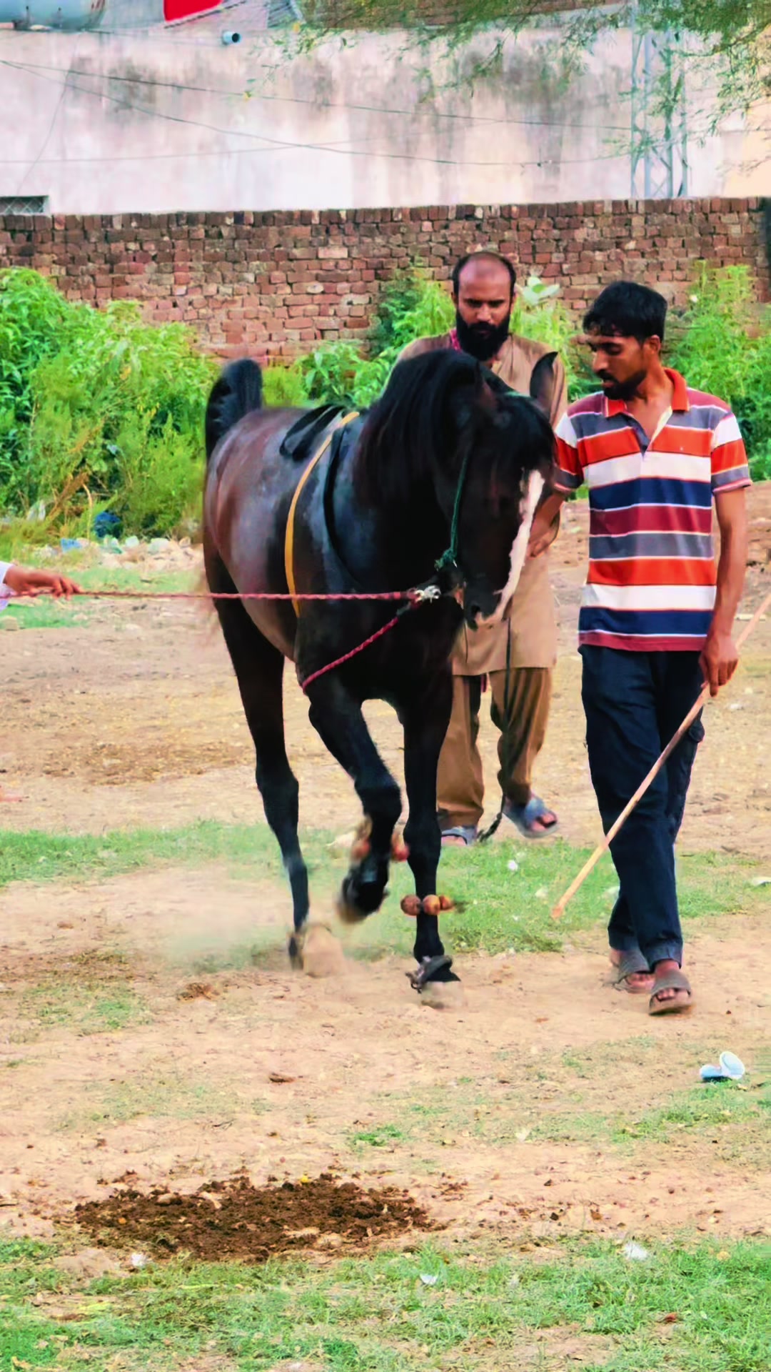 @Sameerx653