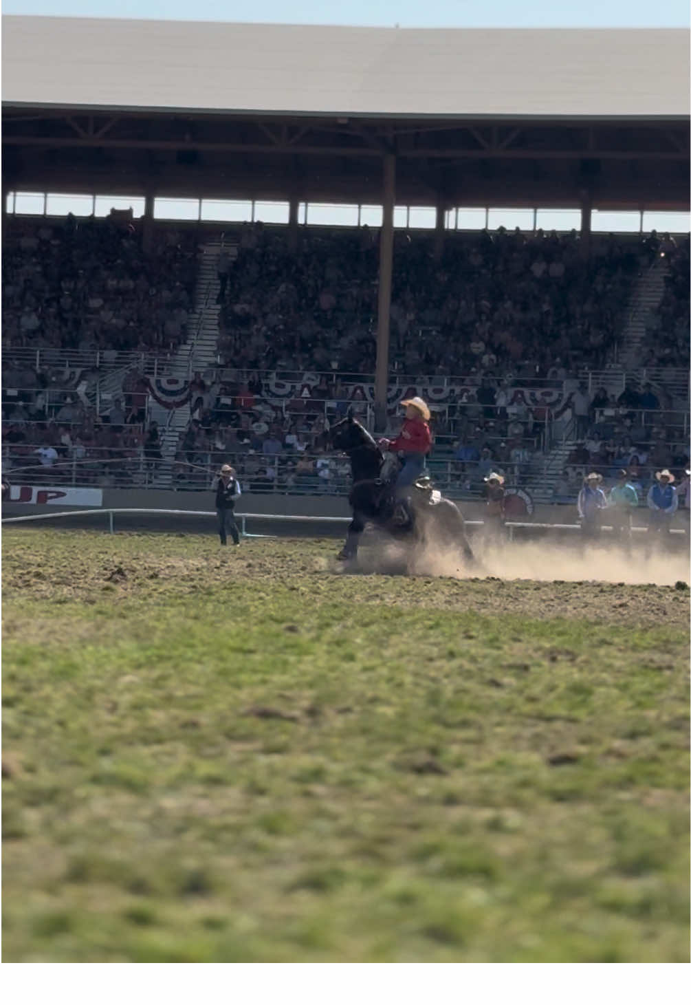 @Rodeo Life