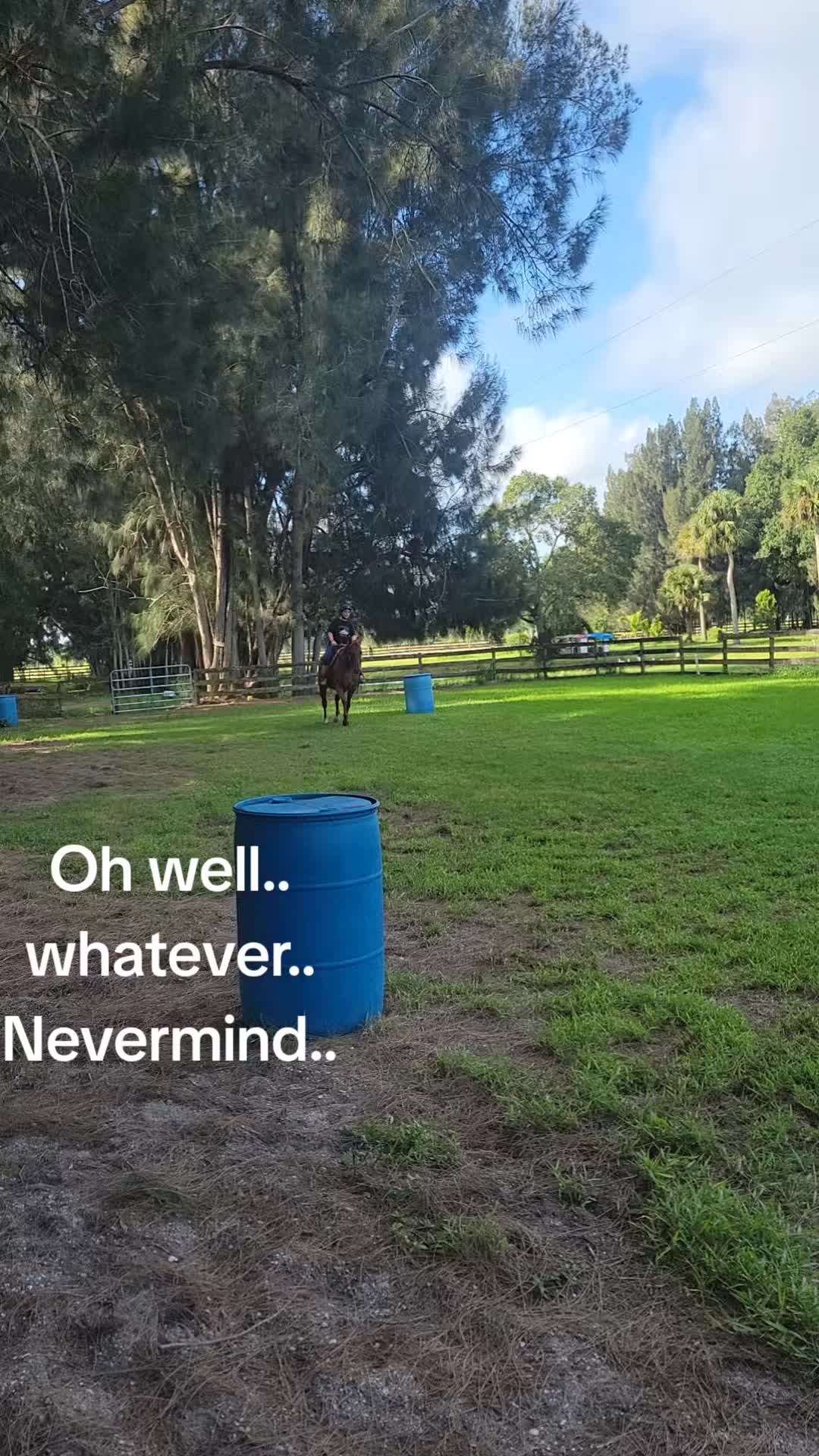 @Flhorselife772