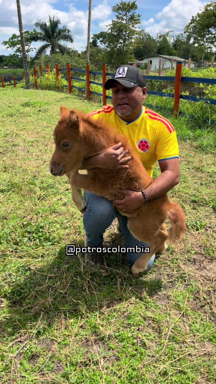 @Potros Colombia