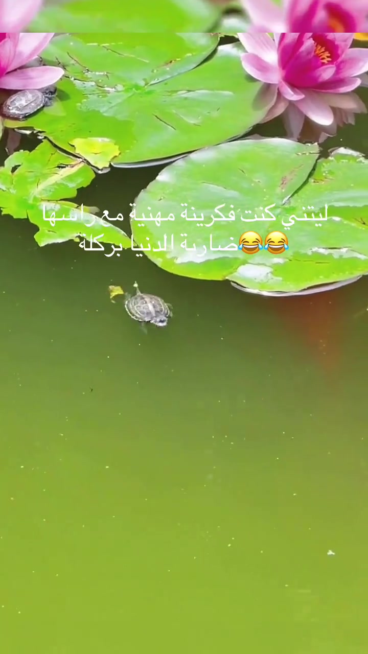 @hodnaleo: ⴱⵡⴷⵏⴰ ⵉⵣⵎ