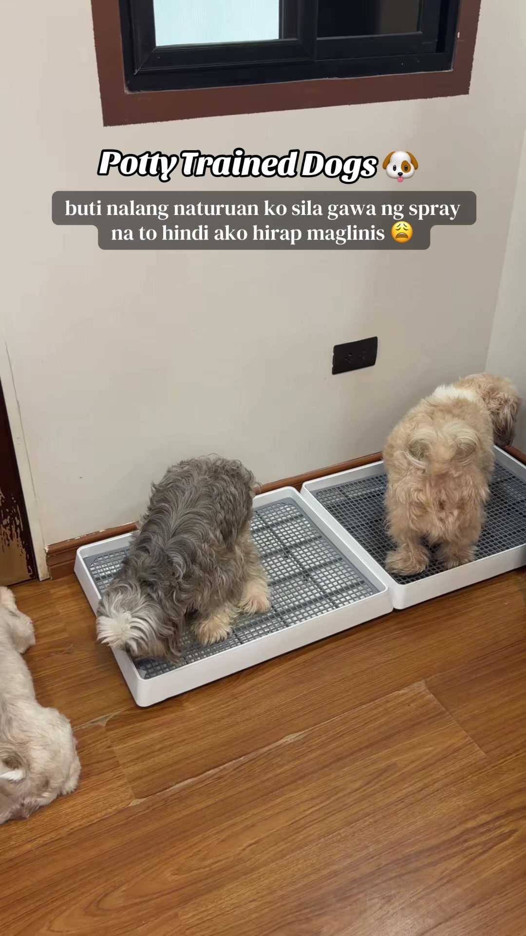 @Jeilah Ann