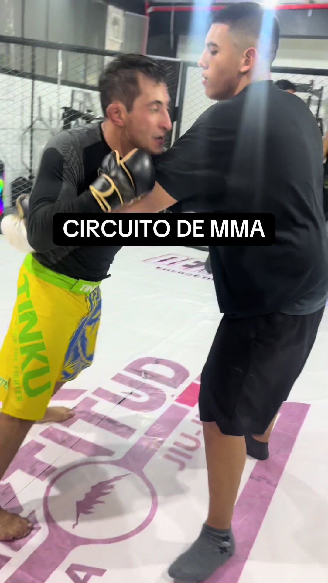 @Altitud MMA