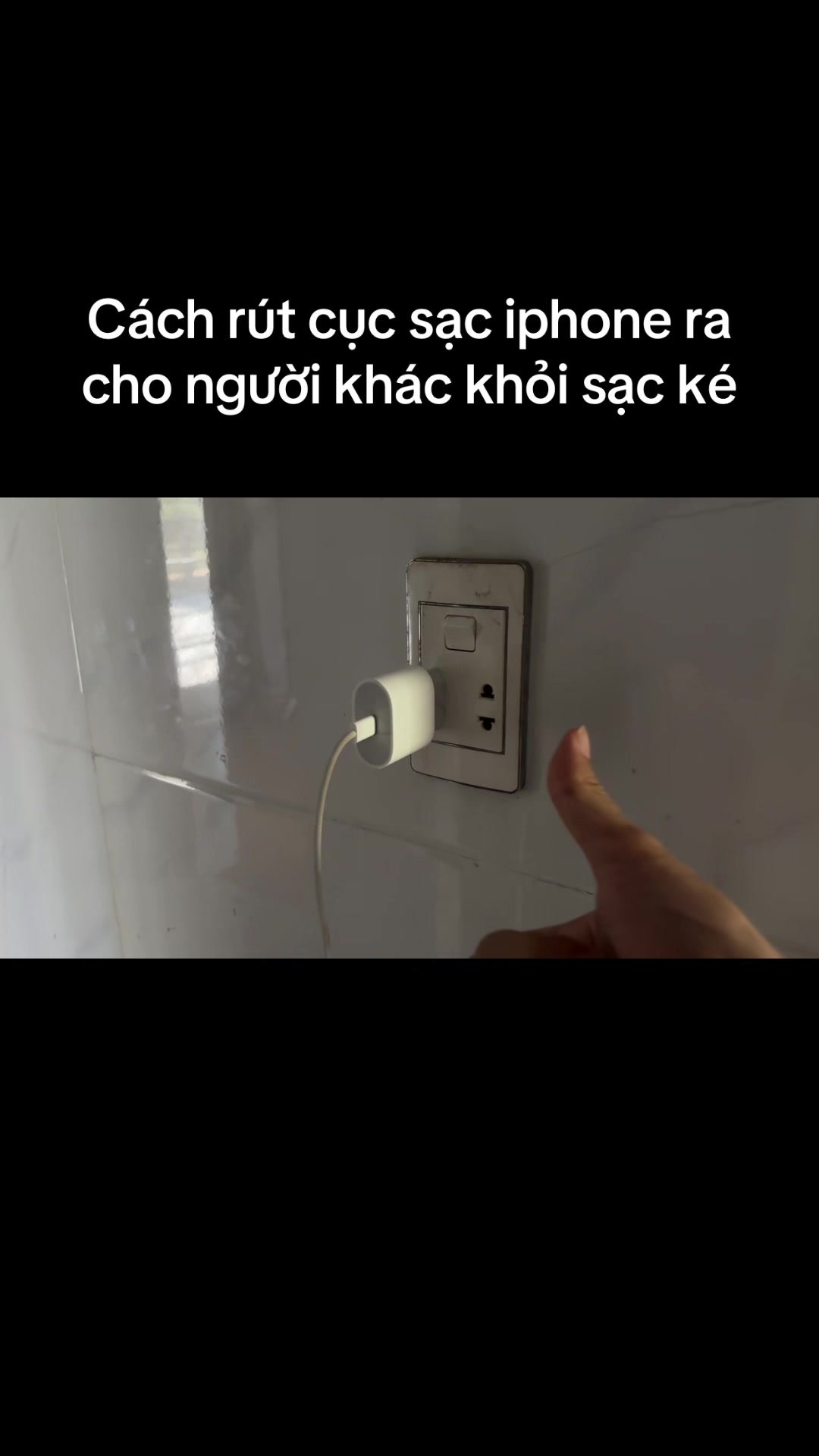 @Mèo thông thái