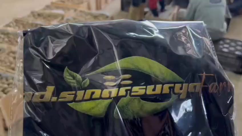 @Dani D2r_mxshop / SSF