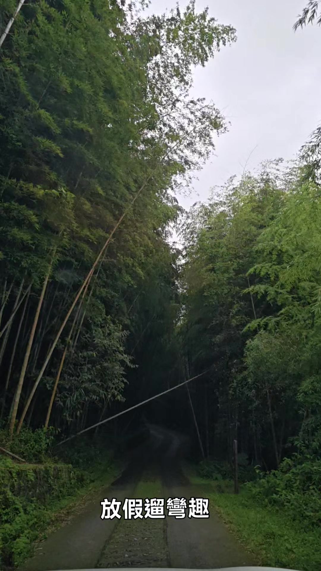 @霸氣女王