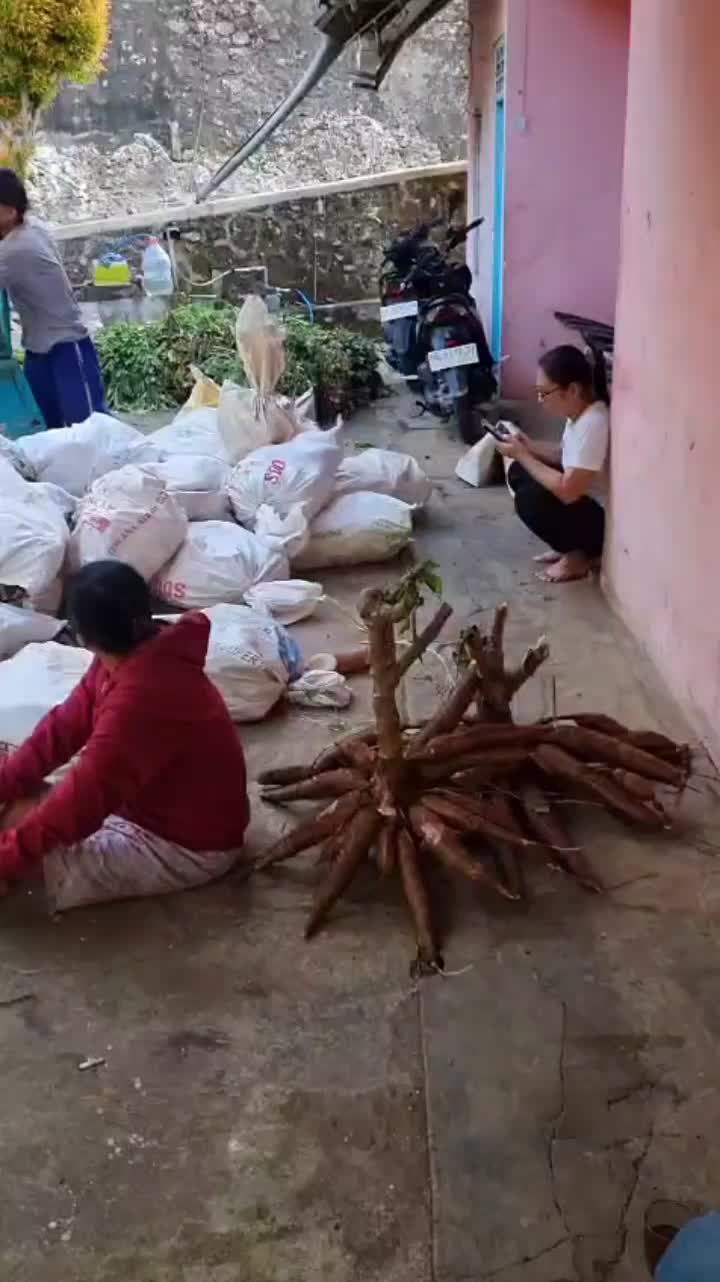 @Aaigo