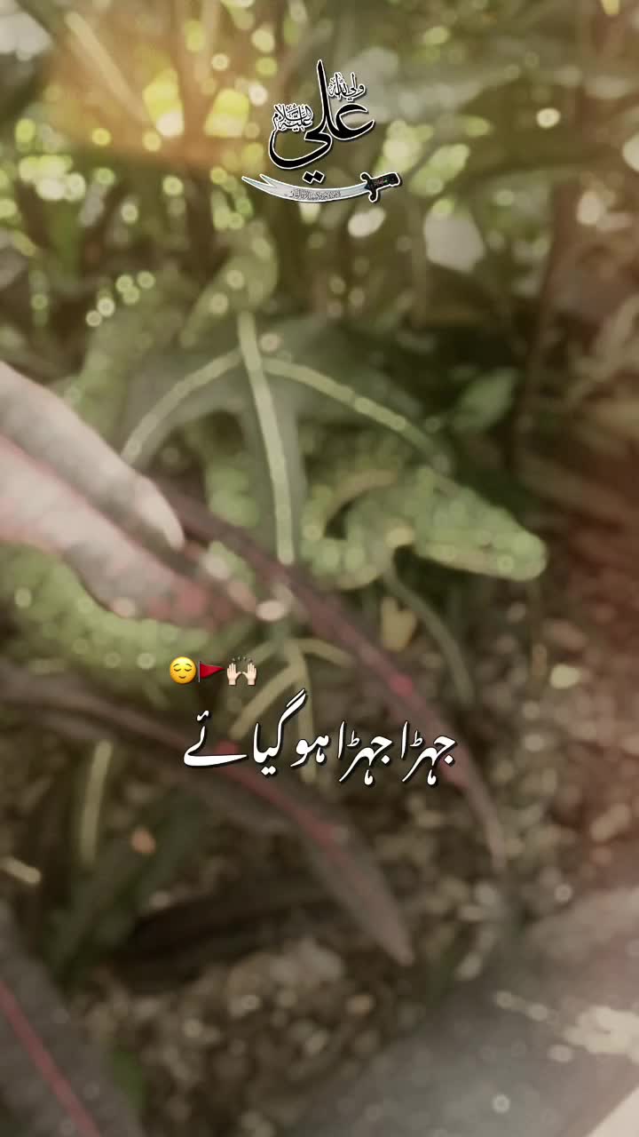 @🌹Maham🥀👗