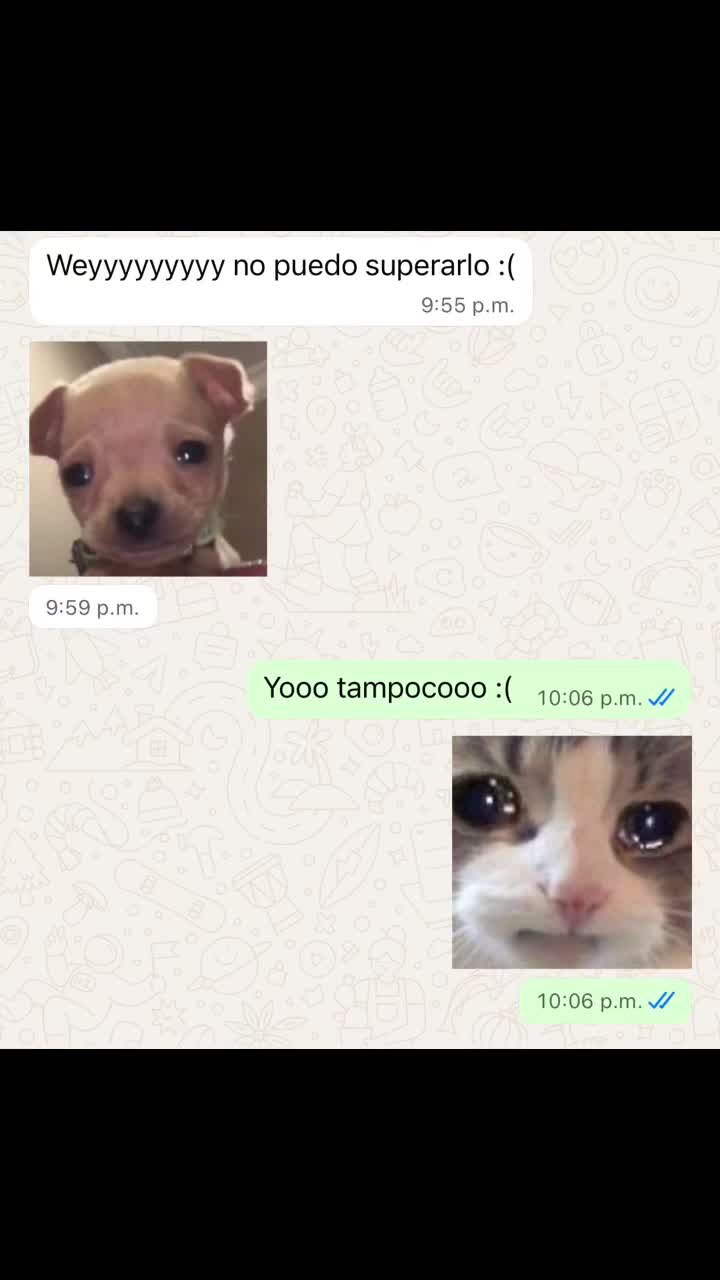 @Vivi