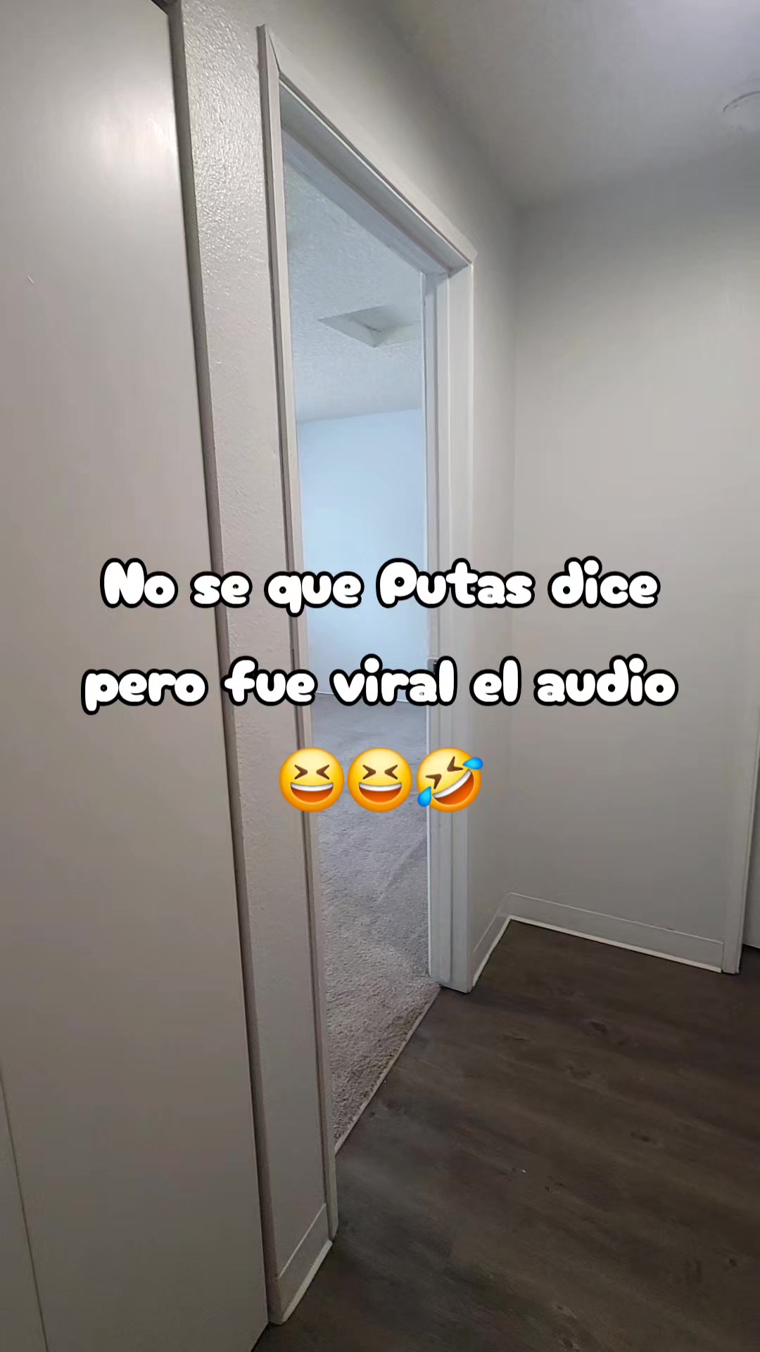 @Oscar H H ✓