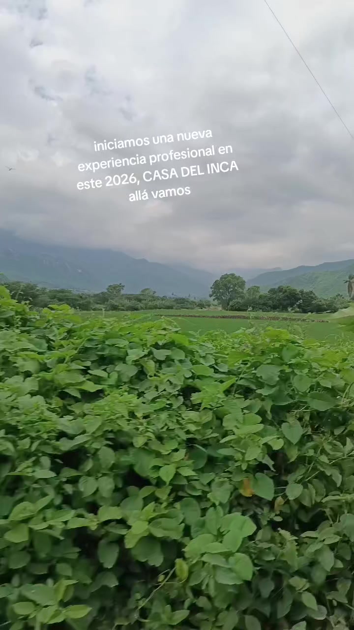 @Prof. Julio C. Su&aacute;rez Carranza