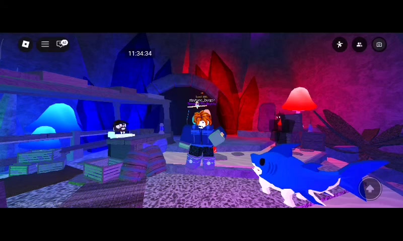 @try.rblx
