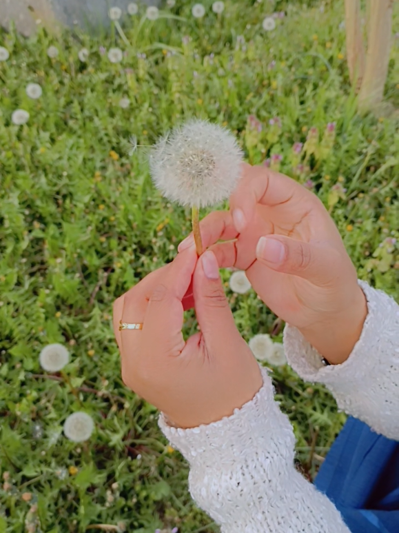 @Nk_Shazadi
