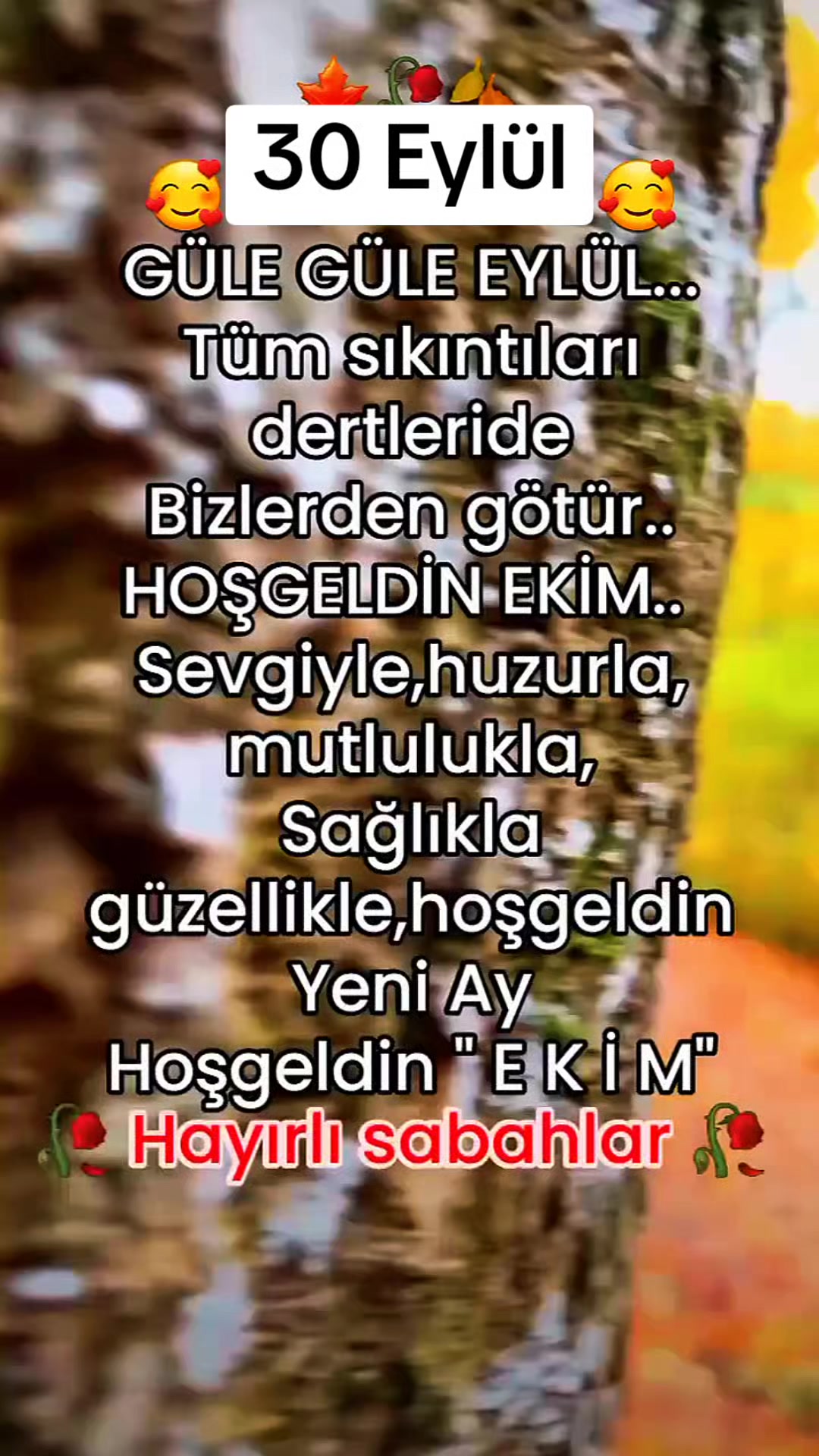 @Gurbet