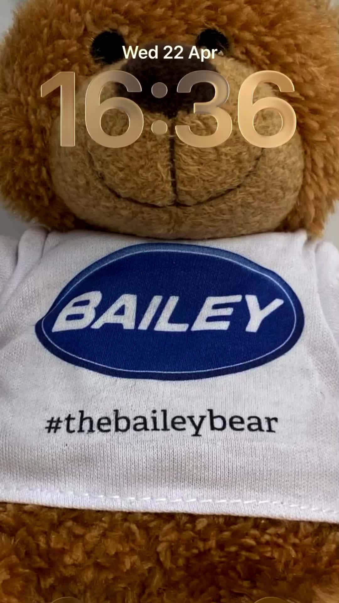 @Bailey of Bristol
