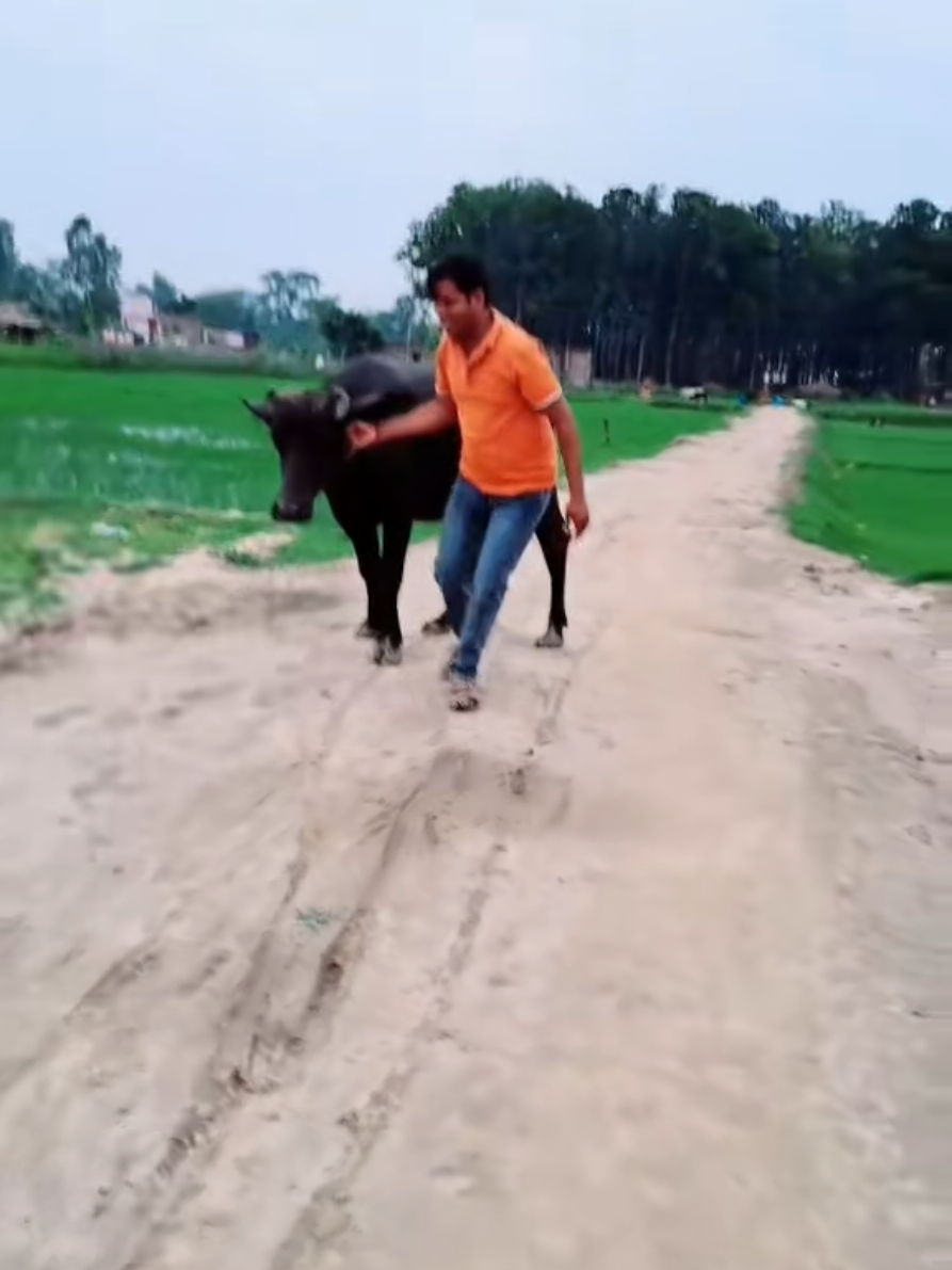 @Kishor paswan