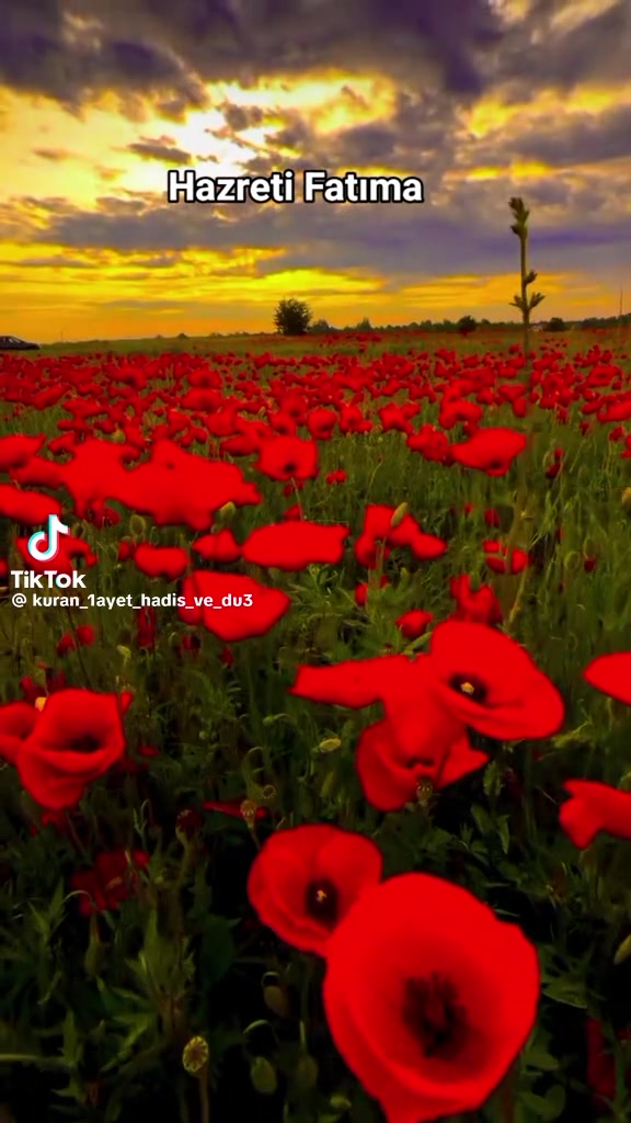 @🇹🇷💞Ayyüzlü ♓️💞