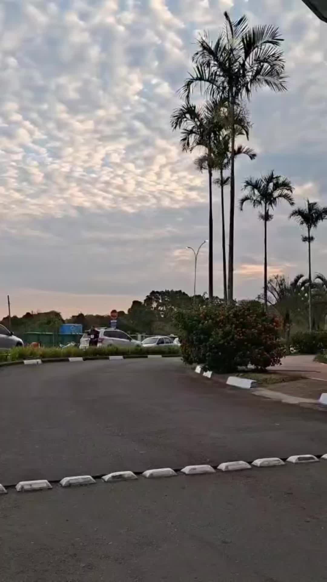 @rafaeldepaula716