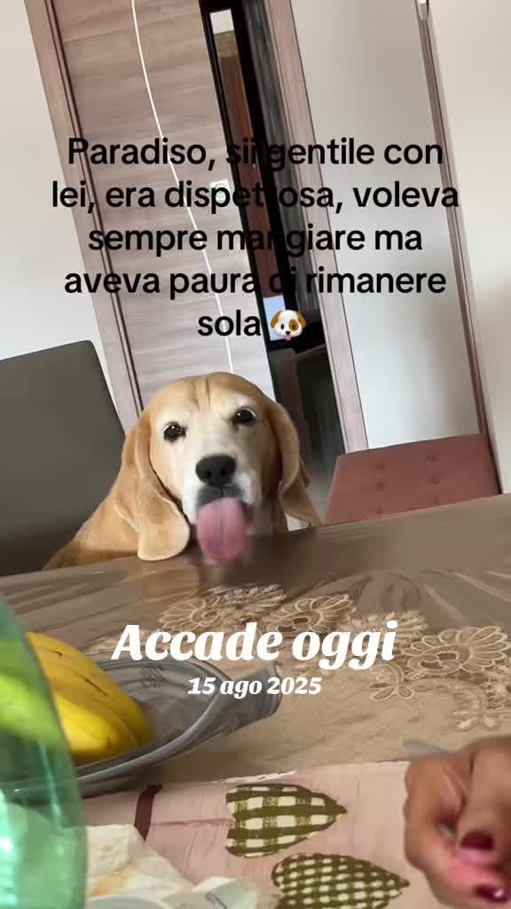 @Imma.buono