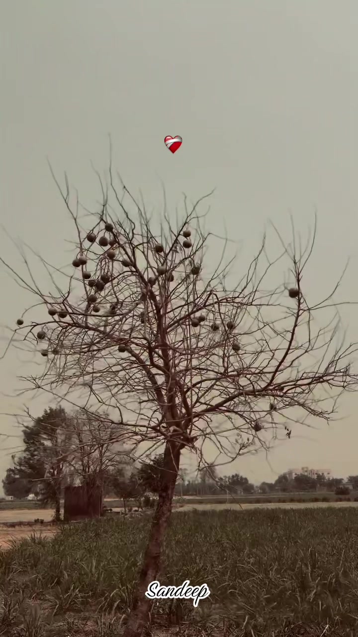 @Sdeep_2022