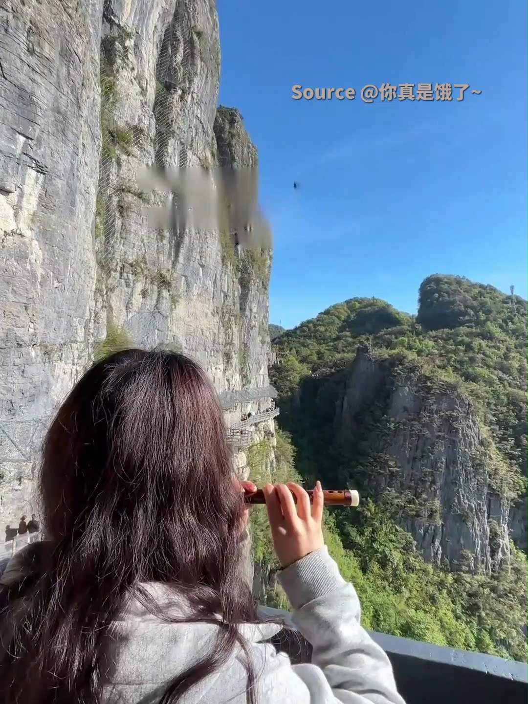 @TrendZ_CN