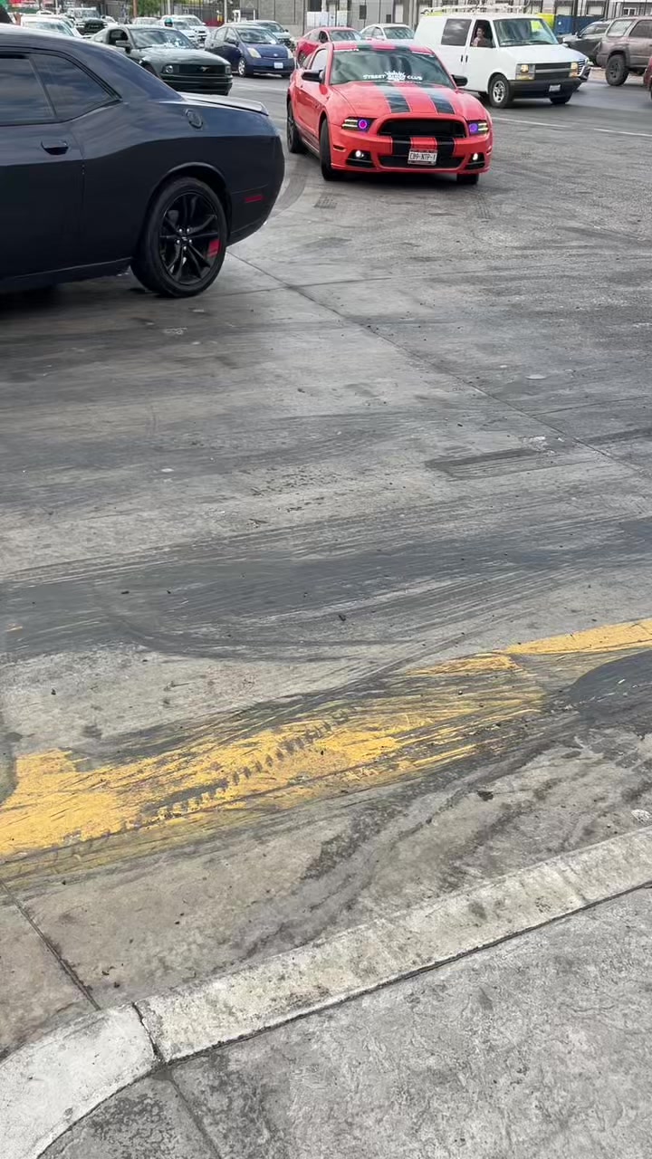 @🐍