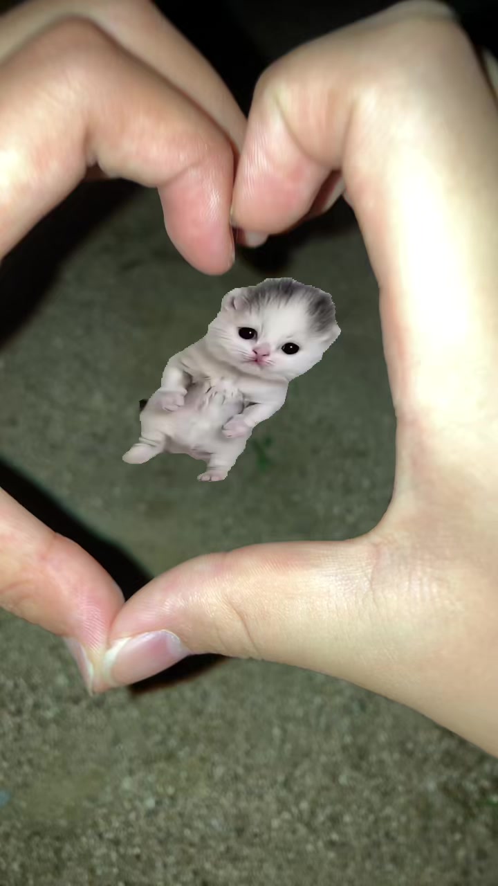 @こっちゃん🐣