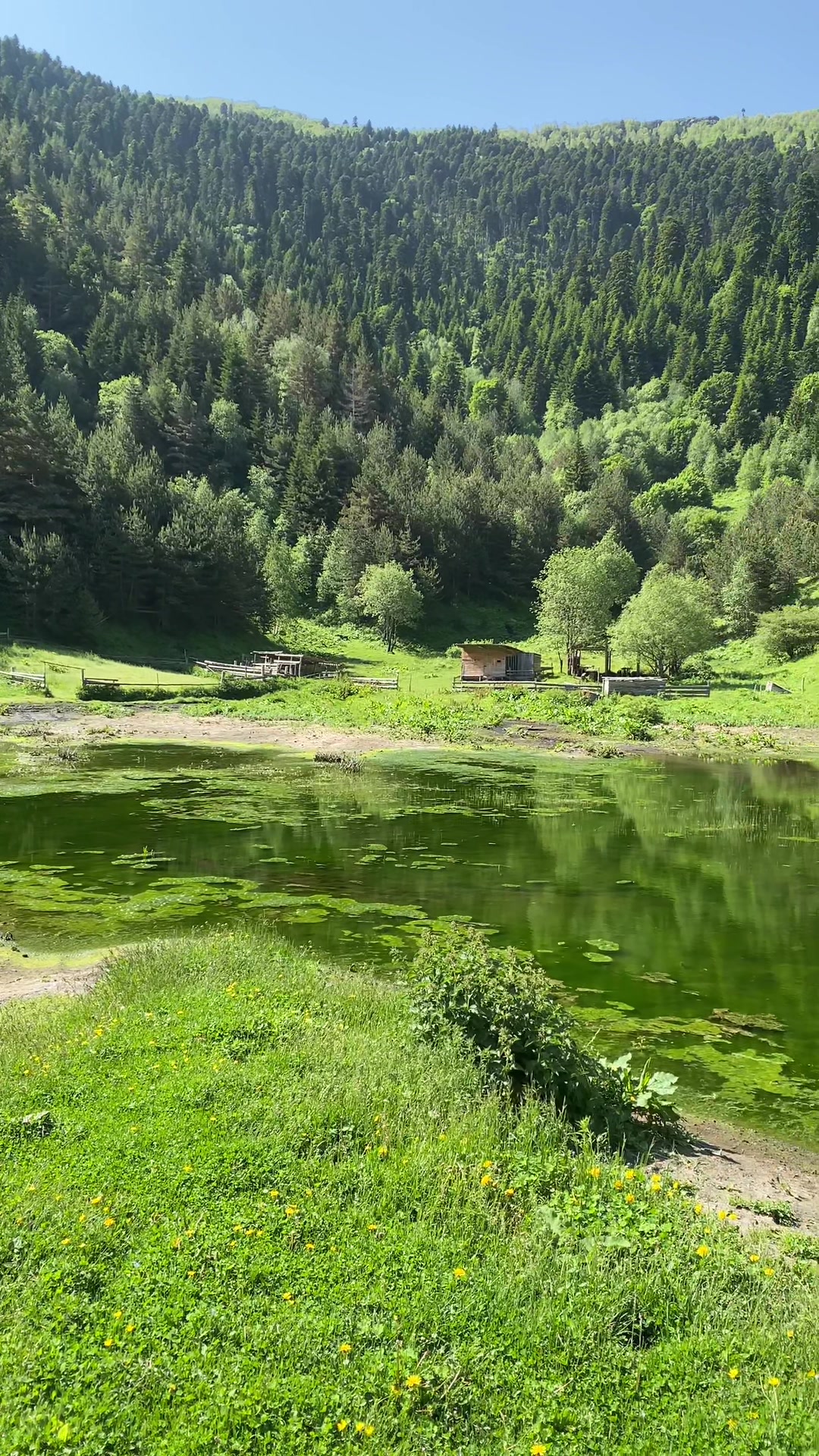 @BuKa Tikanashvili 🇬🇪
