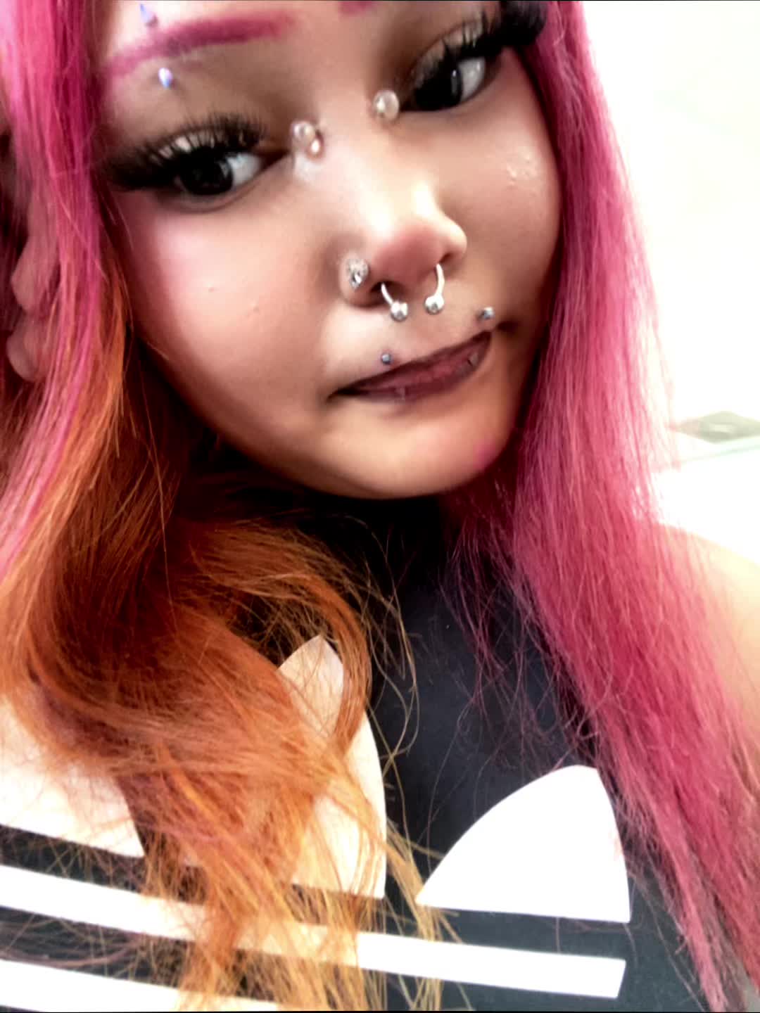 @๐๐ถ๐๐ฉท