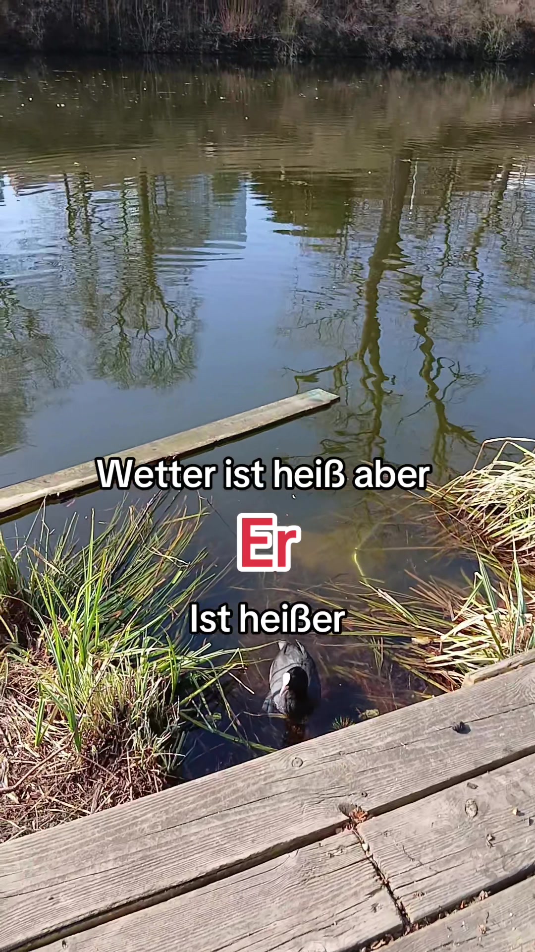 @C&auml;cilia_5