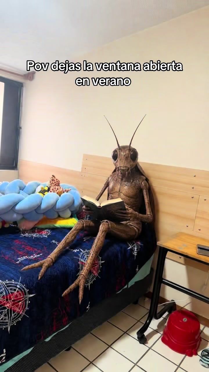 @Merary Sánchez