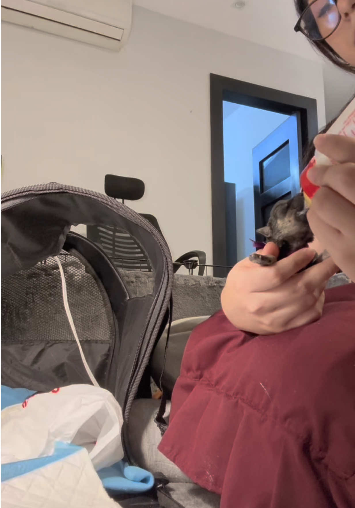 @vanessa