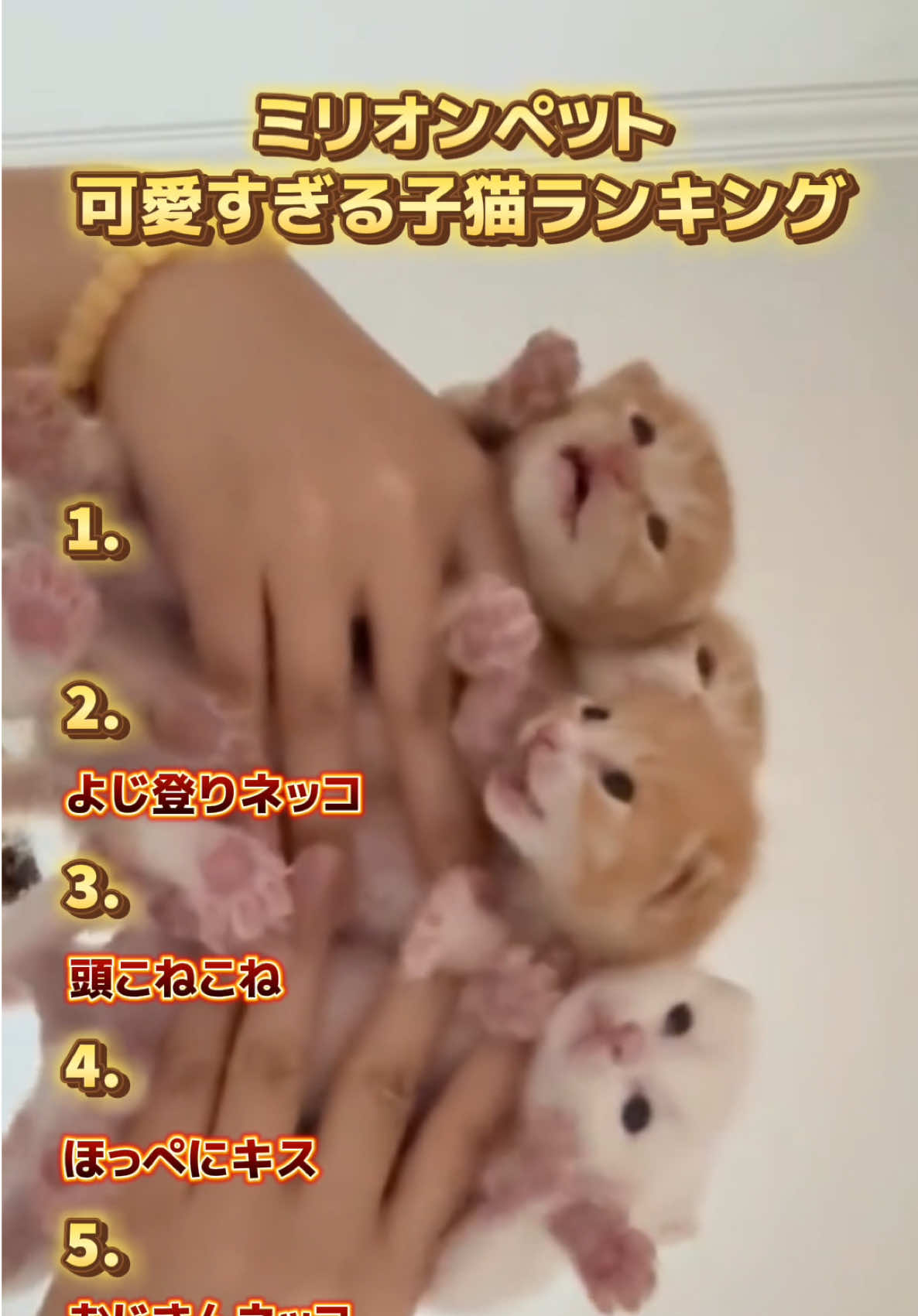 @ミリオンペット