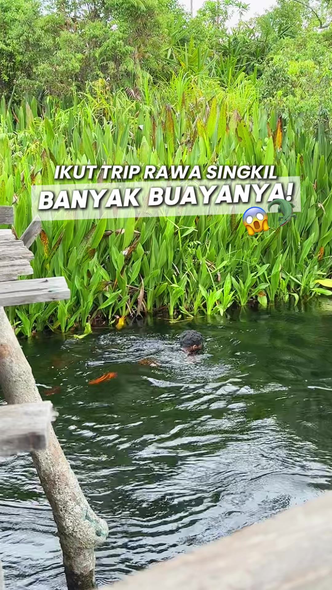 @Adudull