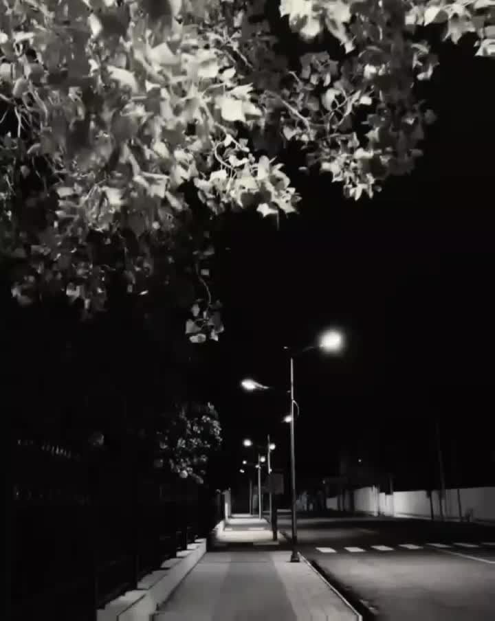 @โ๏ธ๐๐๐๐๐ ๐๐ค๐ฃโ๏ธ