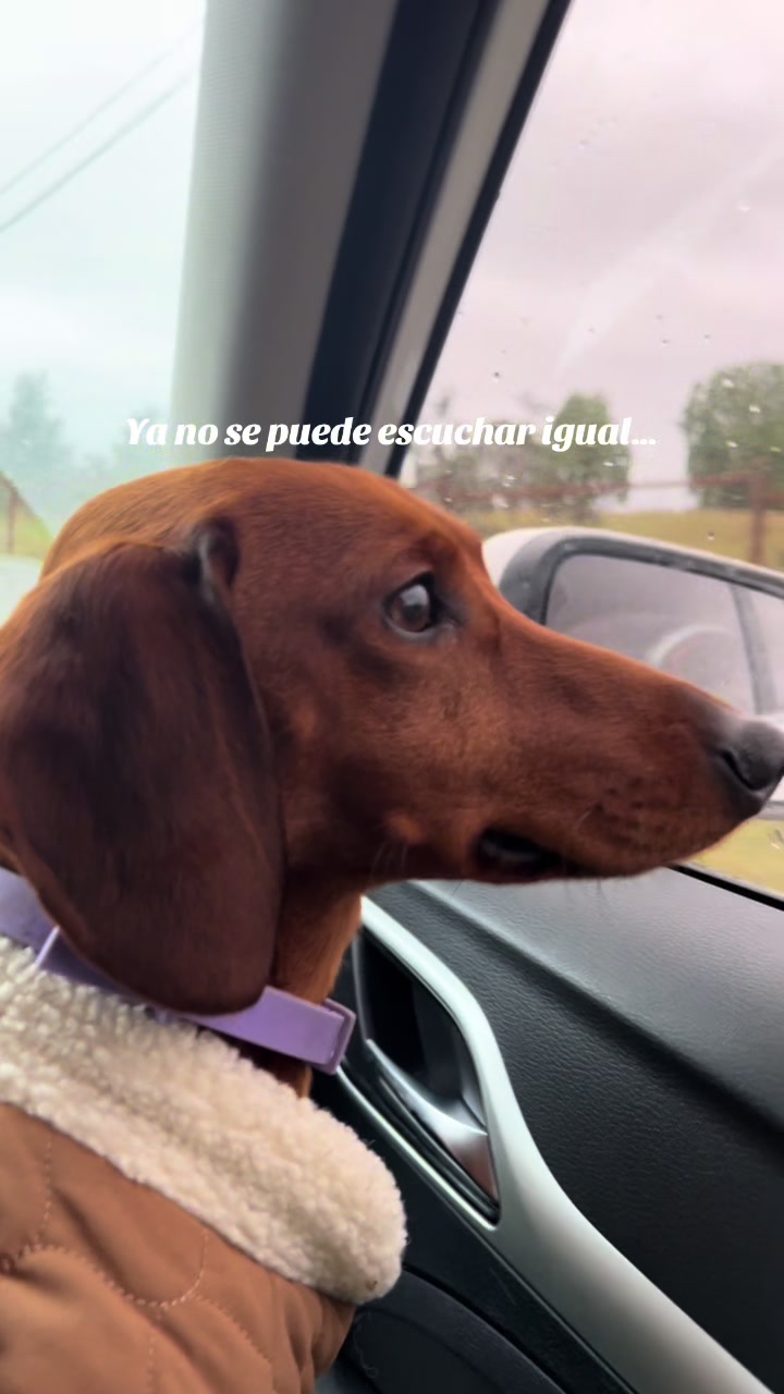 @Paz Valdebenito