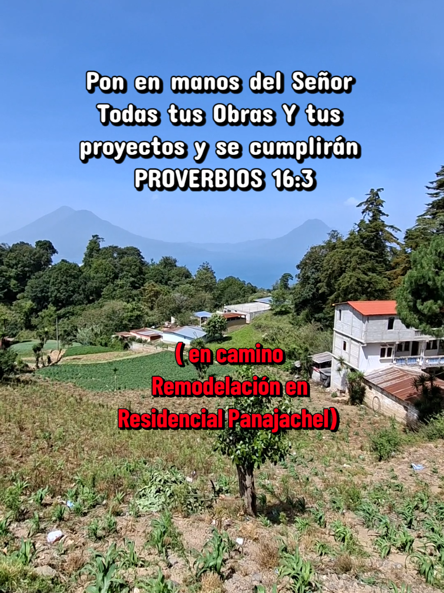 @@Enrique-Tojin-Pu🏍🧃🦜