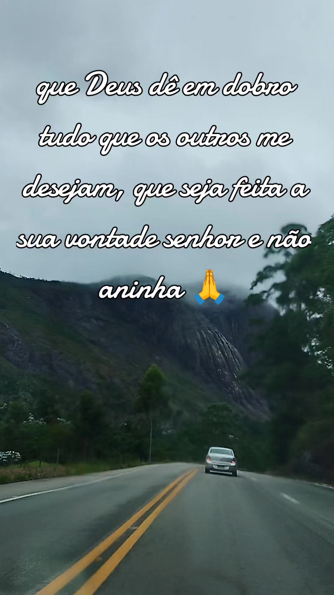 @franciscofarias278