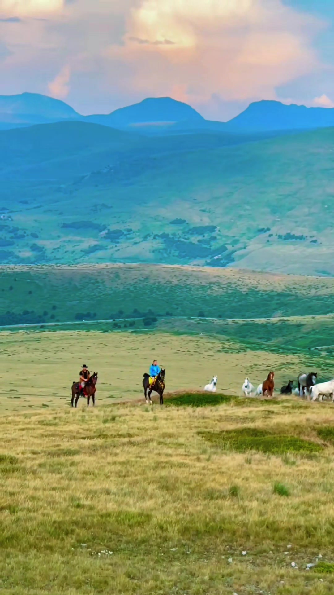 @Horse Training Center Albania