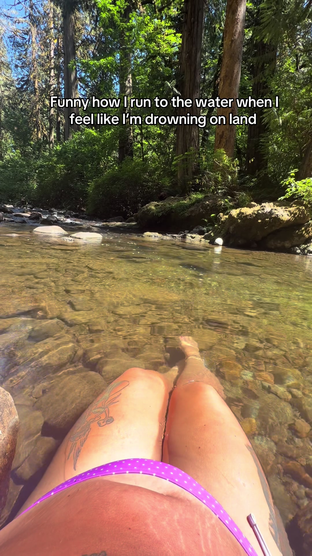 @Shauna🧚♀️🍄🌲✨